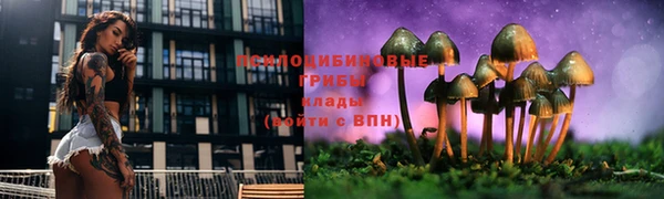 spice Абинск