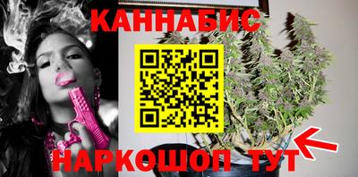 дмт Пенза
