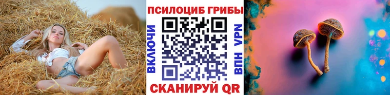 Псилоцибиновые грибы мицелий  МЕГА сайт  Тавда  хочу  