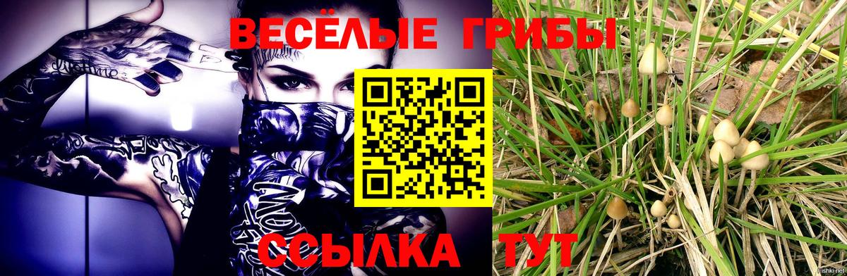 Тавда  Галлюциногенные грибы мицелий  Вход с VPN  Псилоцибиновые грибы Psilocybine cubensis 