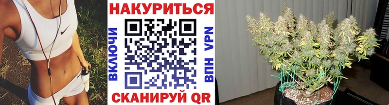 Шишки марихуана Bruce Banner  где продают   Тавда 